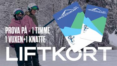 Bild för: Alpin - 1 Tim - 1 Vuxen 1 Fri Knatte